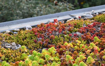 the cost of Upper Poppleton green roof installation