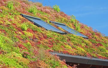 Upper Poppleton living roof systems