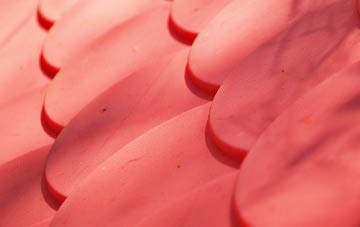 Upper Poppleton plastic roof costs