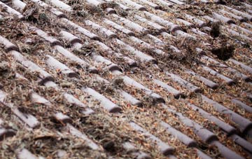 Upper Poppleton roof cleaning companies