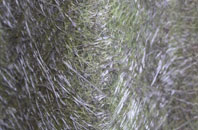 Upper Poppleton fibreglass roof work